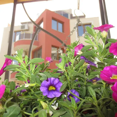 Apartment Fantasy Warna