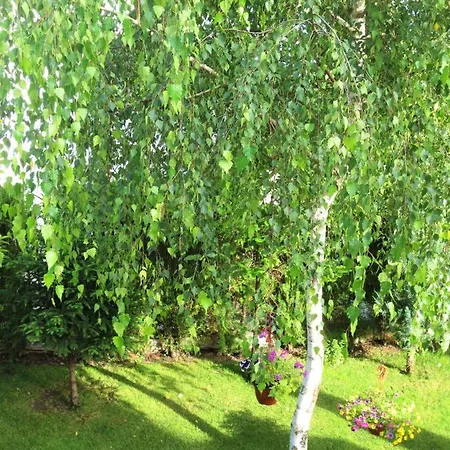 Apartamento Fantasy *