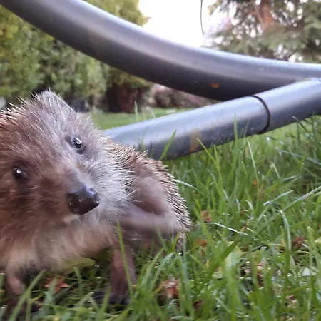 Apartamento Fantasy *