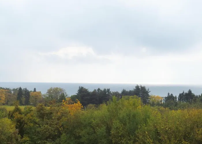 Fantasy Apartamento *