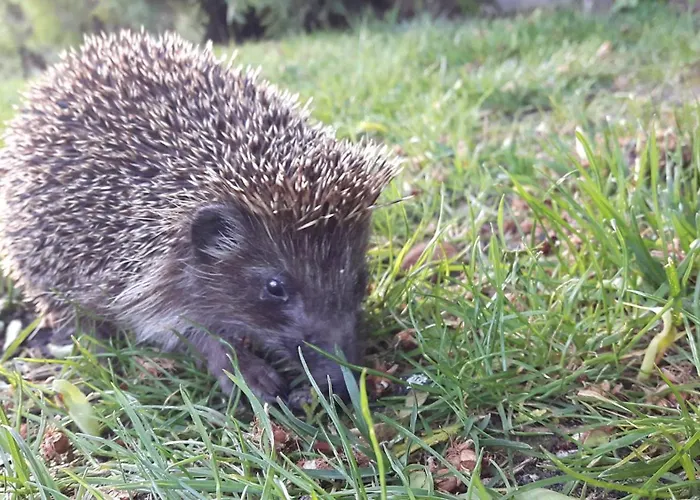 Apartamento Fantasy Varna